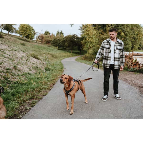 T-Leash Maldon 20/200 Black/Grey, view: 2