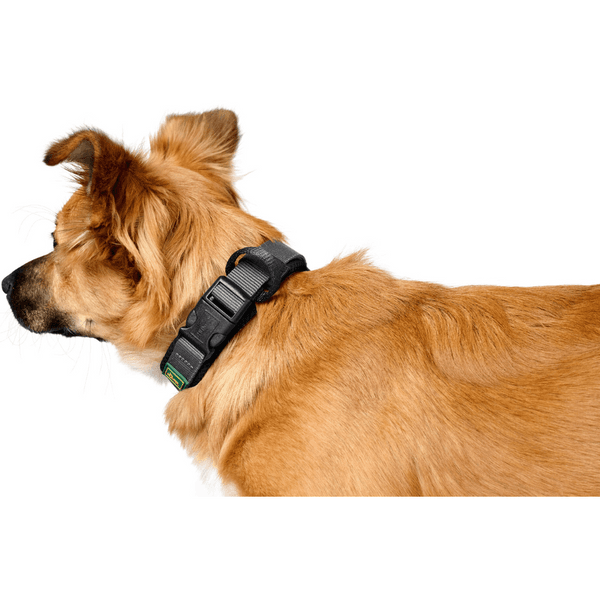 Collar Maldon 45-55/L Black/Grey, view: 2