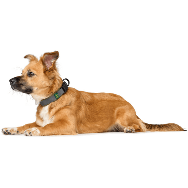 Collar Maldon 25-35/S Olive Green/Grey, view: 3