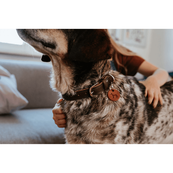 Collar Lemvig 40/S Leather Cognac/Olive Green, view: 4