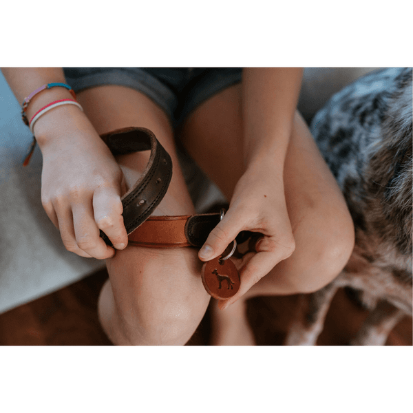 Collar Lemvig 60/M-L Leather Cognac/Olive Green, productDetailPage.view: 5