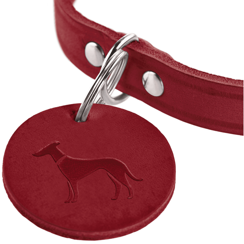 Collar Aalborg 47/S-M Leather Red, view: 1