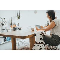 Collar Aalborg 47/S-M Leather Cognac - view: 3