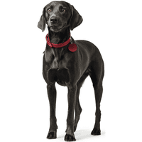 Collar Aalborg 37/XS-S Leather Red - view: 2