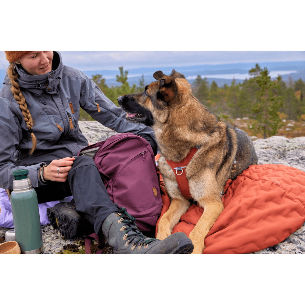 Sleepover Sleeping Bag S Cinnamon, view: 4