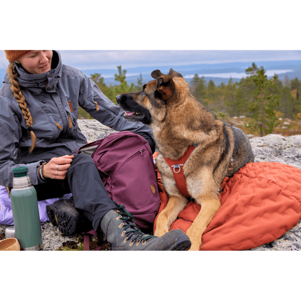 Sleepover Sleeping Bag S Cinnamon, view: 4