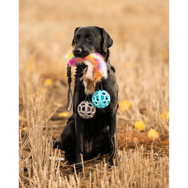 Play-n-Tug Unicorn with Ball 65 cm, productDetailPage.view: 1