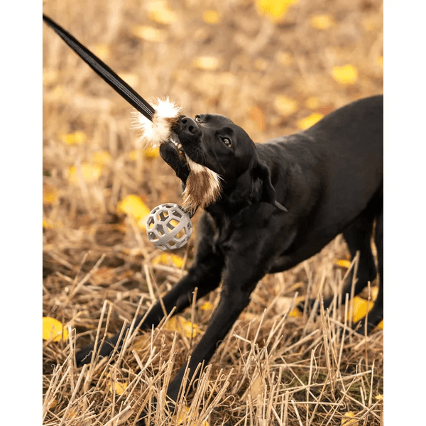 Play-n-Tug Faux Fur with Ball 65 cm, view: 1