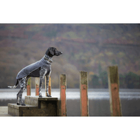 Jumppa 70-75 cm Graphite - view: 3