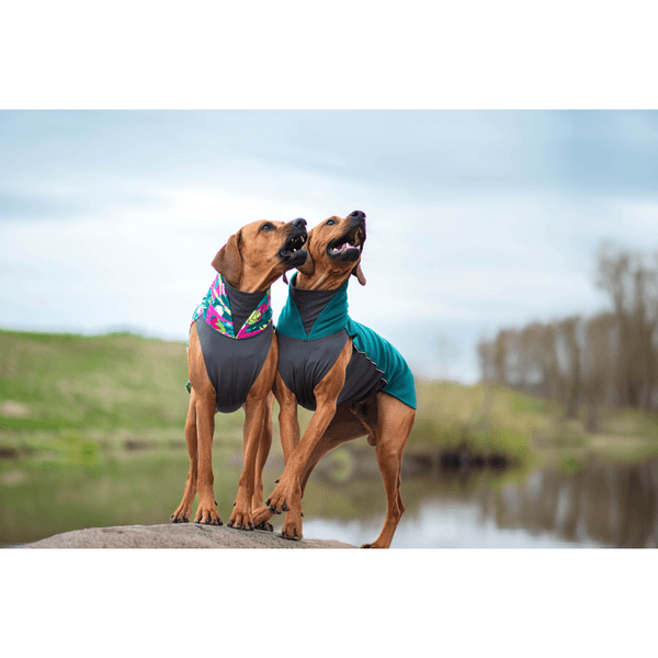 Jumppa 80-85 cm Forest, view: 3