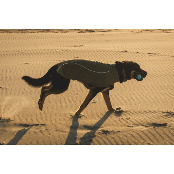 Climate Changer Fleece Vest Cedar Green, view: 7