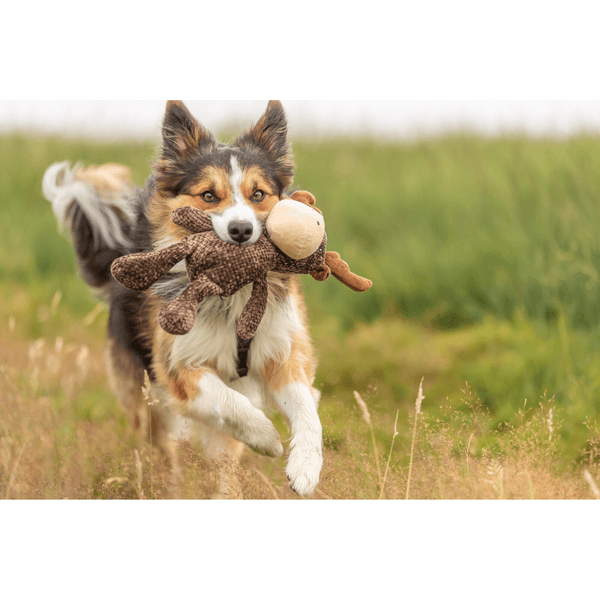 Hirvi Pehmo 36 cm, view: 2