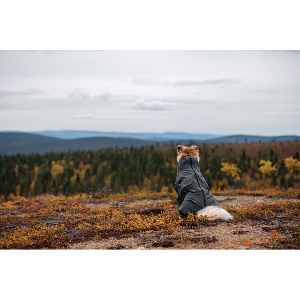 Flash Overall 25-30 cm Gray, view: 7