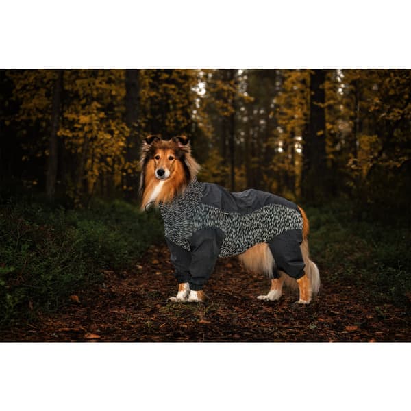 Flash Overall 25-30 cm Gray, view: 5