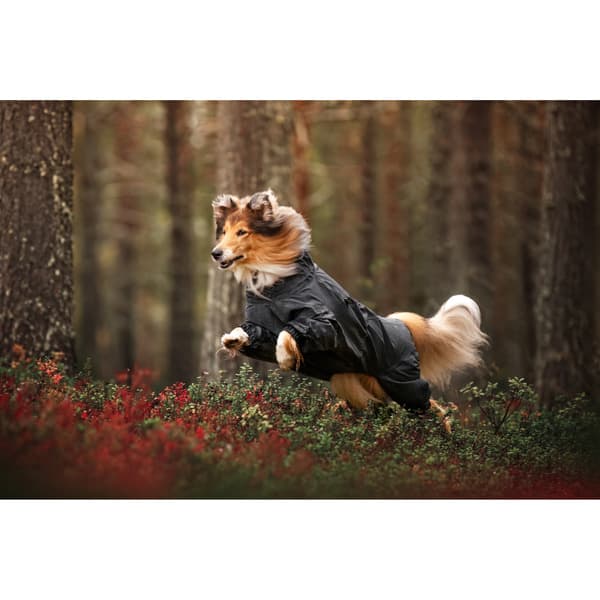 Flash Overall 50-55 cm Gray, view: 6