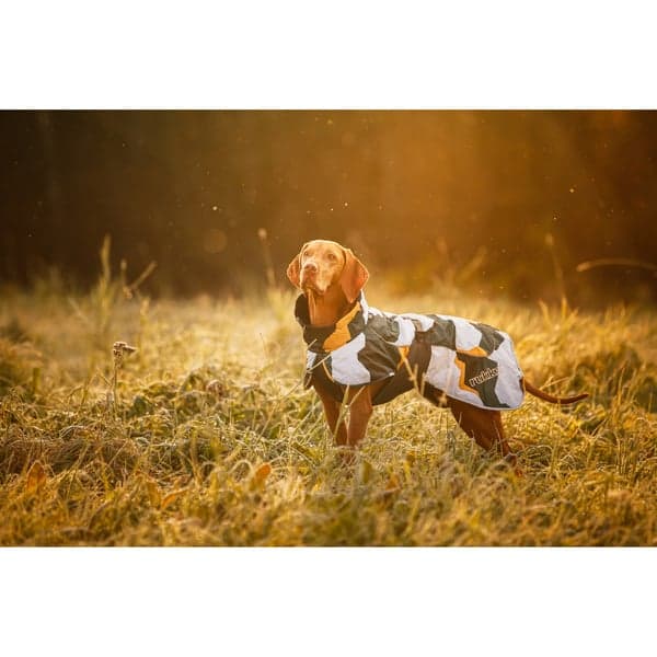 Stormy Coat 50-55 cm Green Mix, view: 5