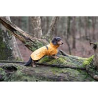 Stormy Coat 50-55 cm Honey - view: 3