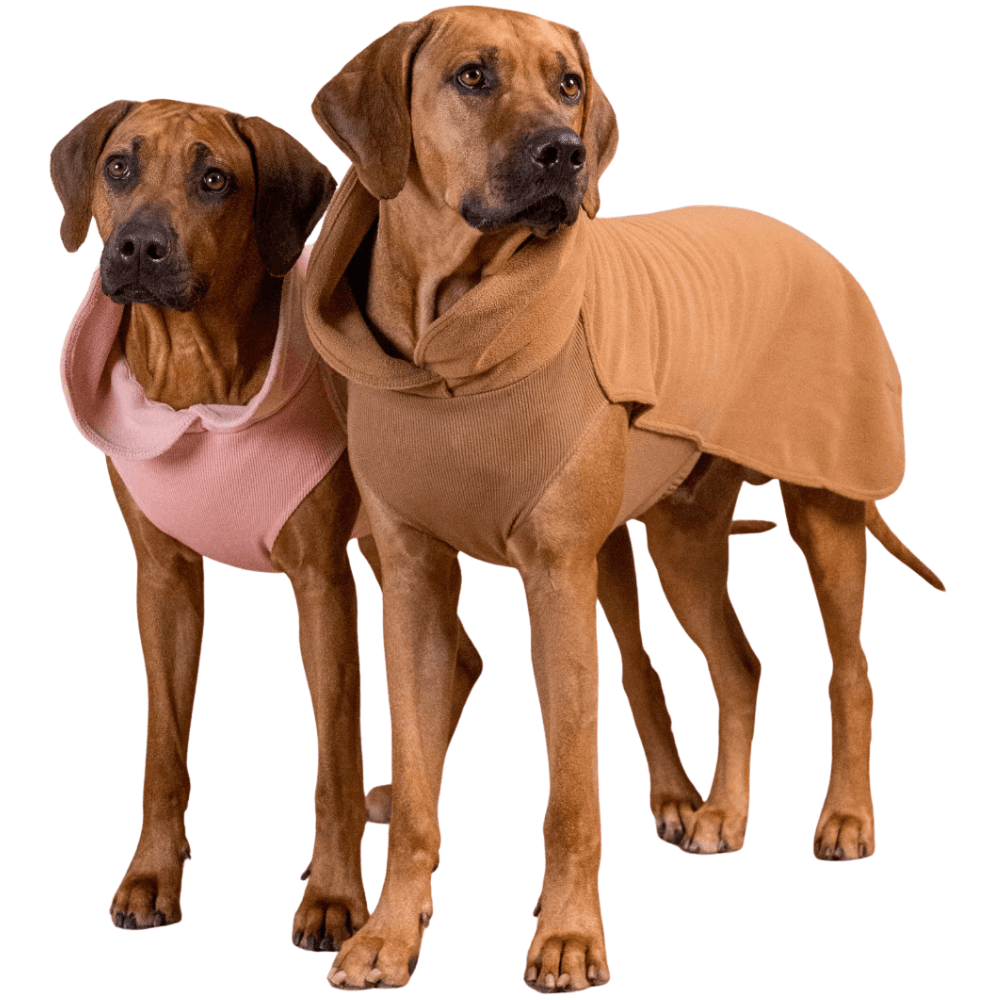 Seawool Shirt 55-70 cm Brown, view: 3