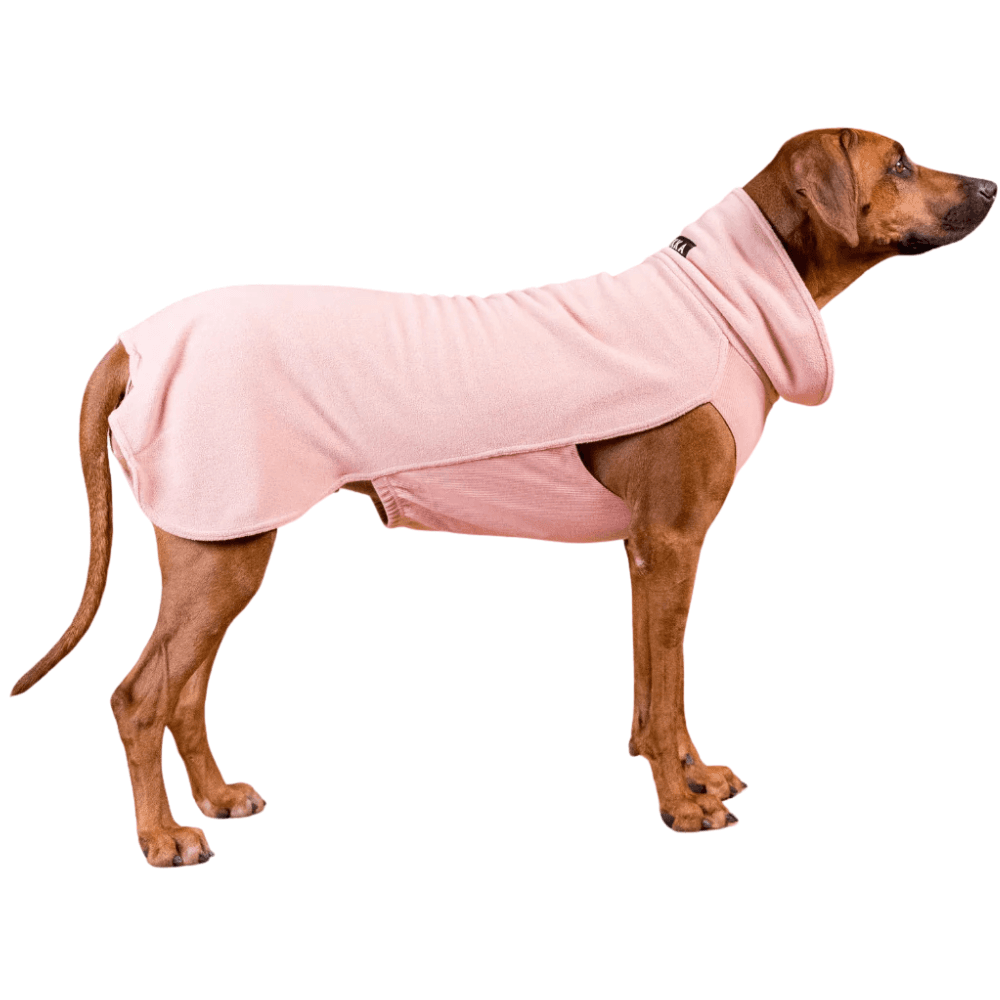 Seawool Shirt 55-70 cm Rose, view: 3