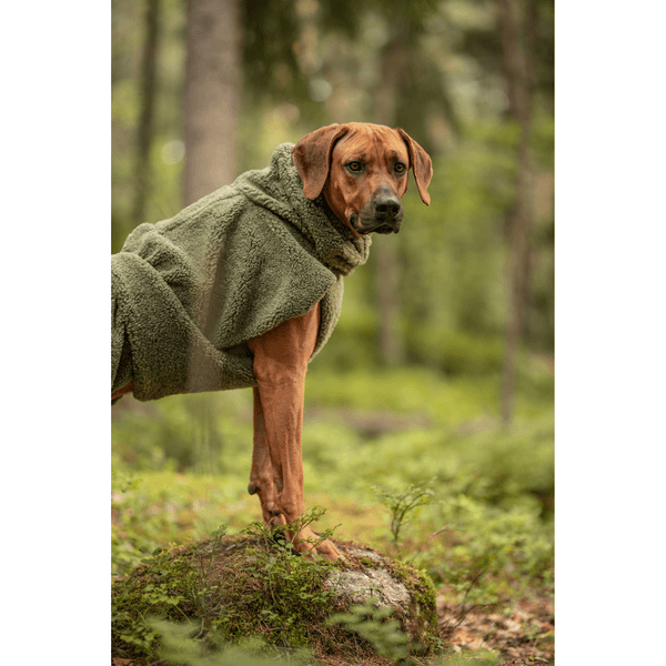 Sherpa Shirt 55-70 cm Olive, view: 5