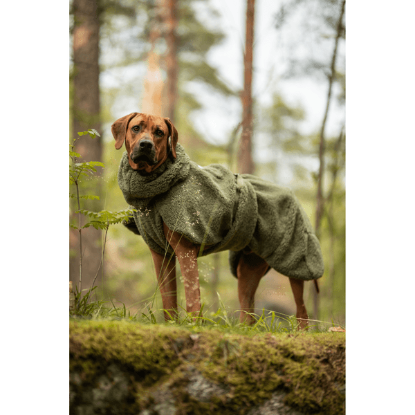 Sherpa Shirt 55-70 cm Olive, view: 6