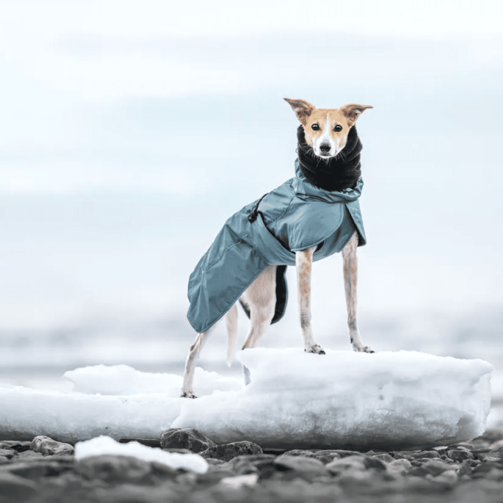 Plush Tube Scarf L Black, view: 1