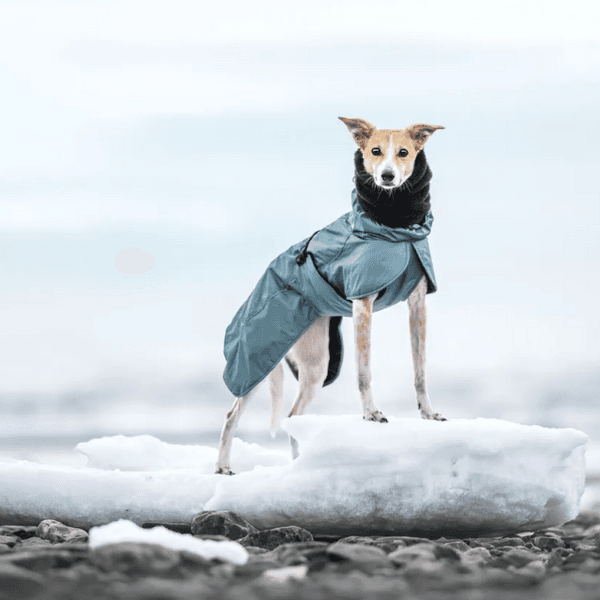 Plush Tube Scarf L Black, view: 1