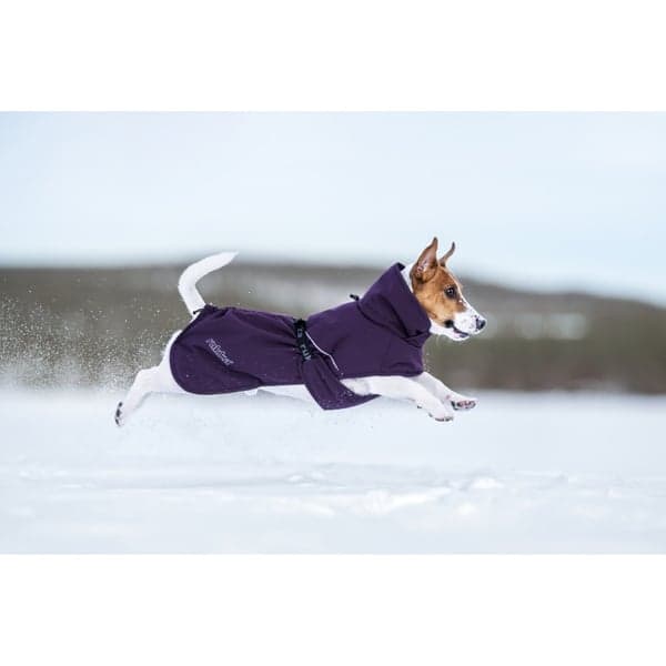 Trust Foil Coat 50-55 cm Plum, view: 5