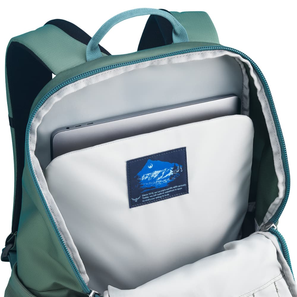 Astronova Pine Leaf Green, view: 4