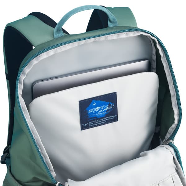 Astronova Pine Leaf Green, view: 4