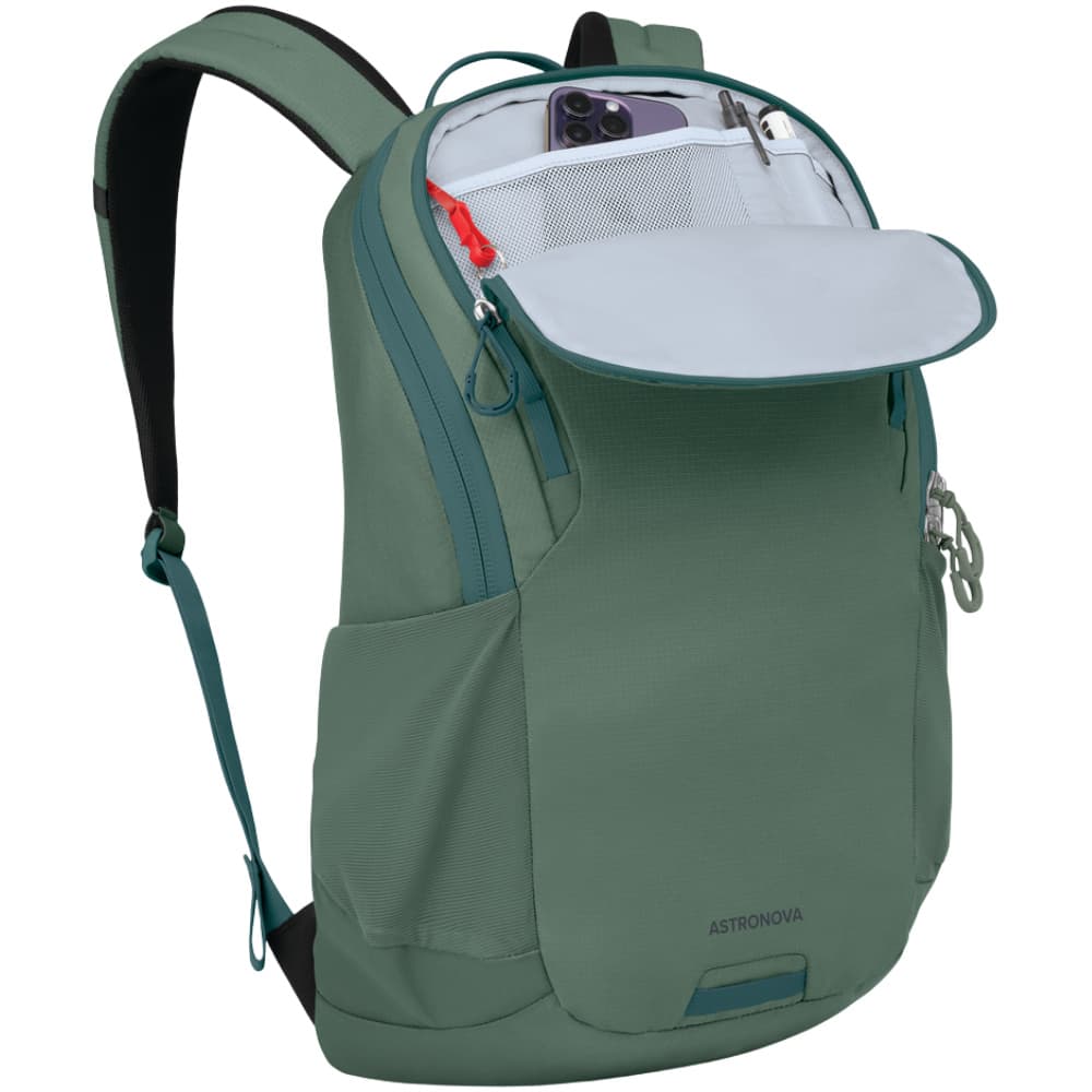 Astronova Pine Leaf Green, view: 2