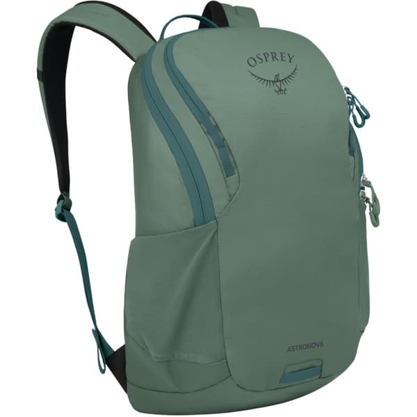 Astronova Pine Leaf Green, view: 0