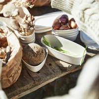 Snapbox Oval 2-Pack Cream - view: 2