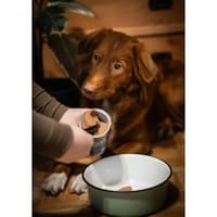 Ultimate Canned Dogfood - Deer With Blueberries - view: 2