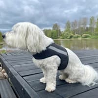 Reflexväst Glow Svart - view: 3