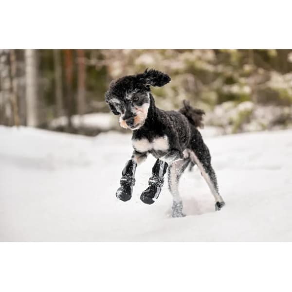 Hundsko Halla Softshell 4 Pack Svart, view: 5