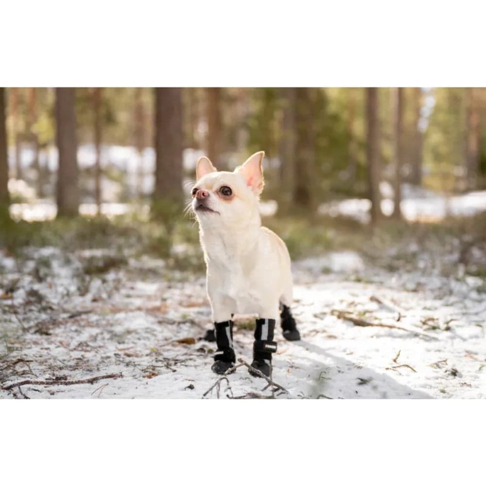 Halla Softshell koirankengät, 4 kpl, musta, view: 6