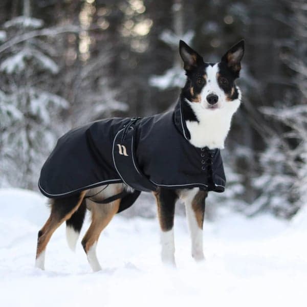 Sunny -vuorattu koiratakki, 25–35 cm, musta, view: 1