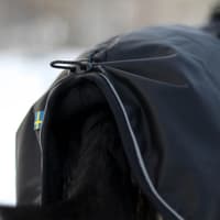 Sunny -vuorattu koiratakki, 25–35 cm, musta - view: 2