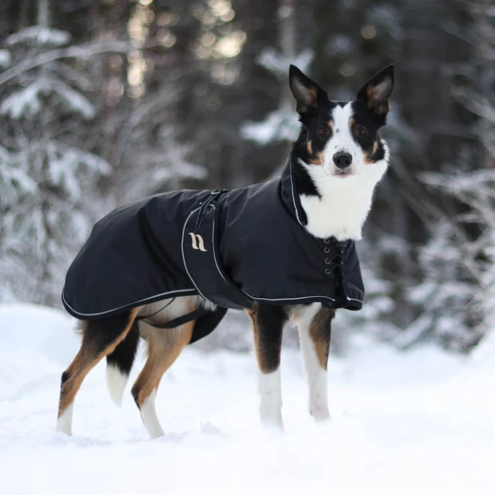 Sunny -vuorattu koirantakki, musta, 70–90 cm, view: 1