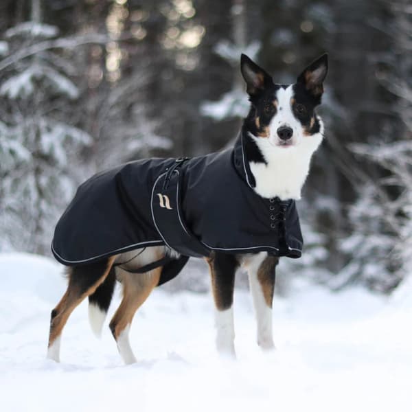 Sunny -vuorattu koirantakki, musta, 70–90 cm, view: 1