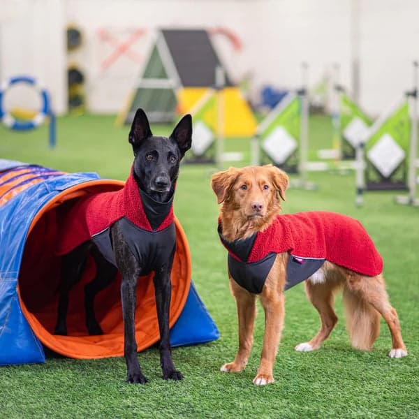 PolarPomppa 25 - 28 cm Rowanberry, view: 4