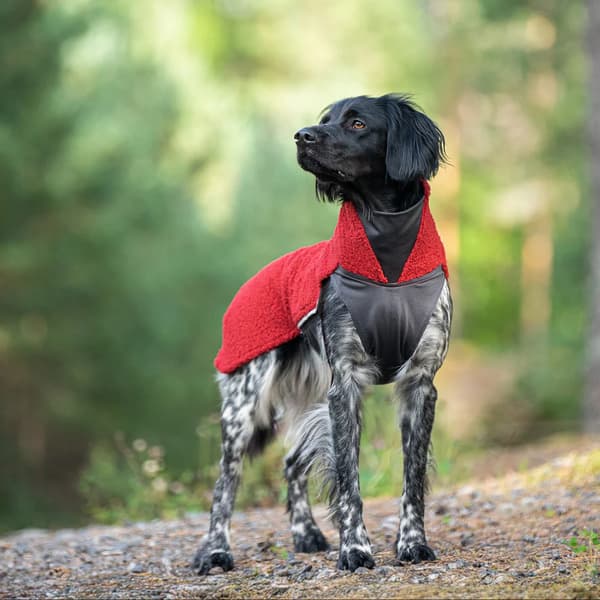 PolarPomppa 31 - 34 cm Rowanberry, view: 1