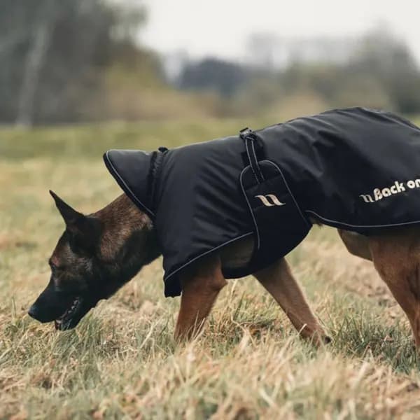 Stanley -vuorillinen koiran sadetakki, 70–90 cm, musta, view: 2