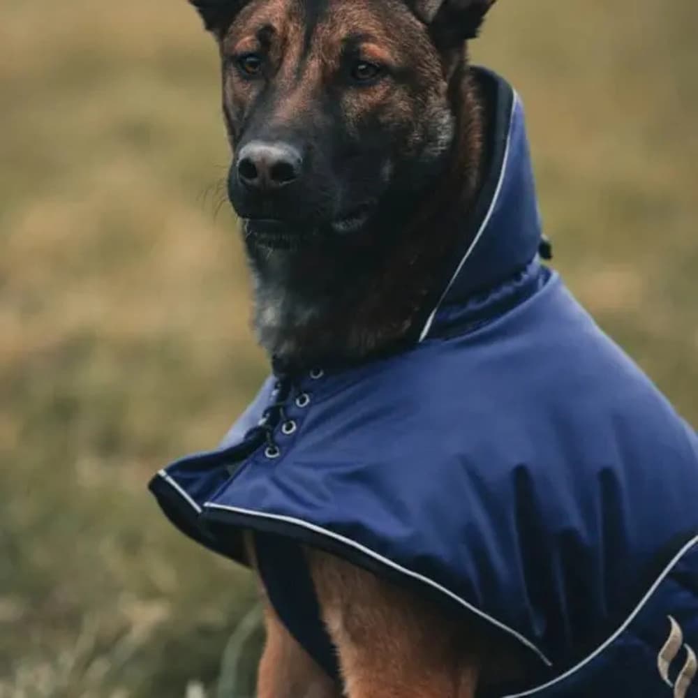 Hundtäcke Sunny Fodrat 85 cm Blå, view: 2