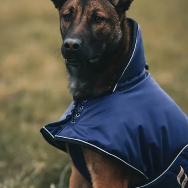 Hundtäcke Sunny Fodrat 85 cm Blå, view: 2