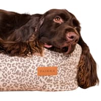 Bed Stone Leo 85x60x20 cm - view: 3