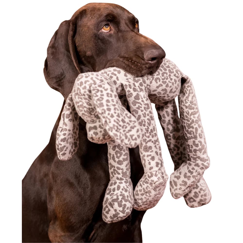 Stone Leo Hound, view: 1