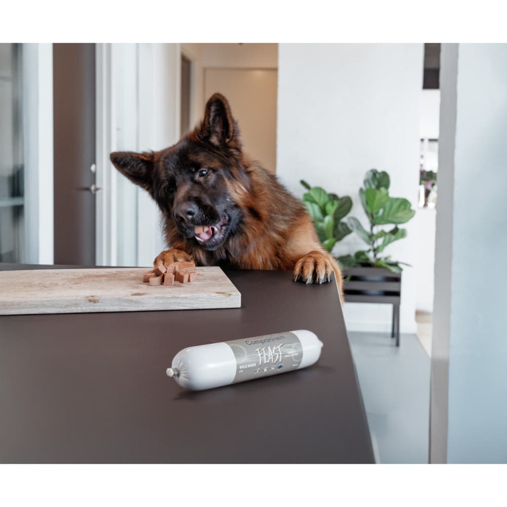 Feast ruokamakkara koiralle 350 g lammas, view: 2