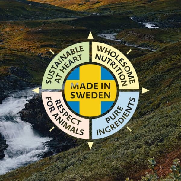 Robur Adult Sensitive Single Protein Lamb 12 kg, view: 1